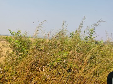  Plot For Sale in Pali