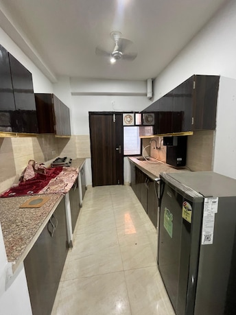 2 BHK Builder Floor For Rent in Gail CGHS Sector 56 Gurgaon  8054937