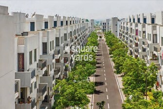 3 BHK Apartment For Resale in Vatika Premium Floors Sector 82 Gurgaon  8055163