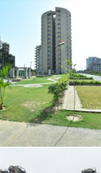 3 BHK Apartment For Rent in ILD Greens Sector 37c Gurgaon  8055293