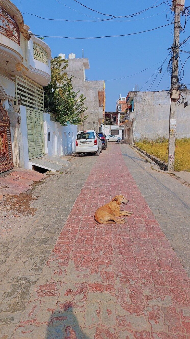  Parking, kalyanpur 3 Bedroom 1400 Sq.Ft. Independent House In Kalyanpur Lucknow 8055448