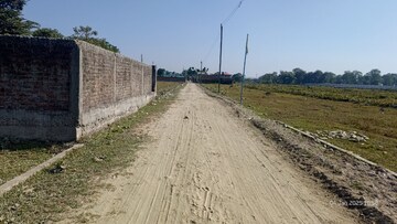 Plot Area in  Plot at Naxalbari – for Sale