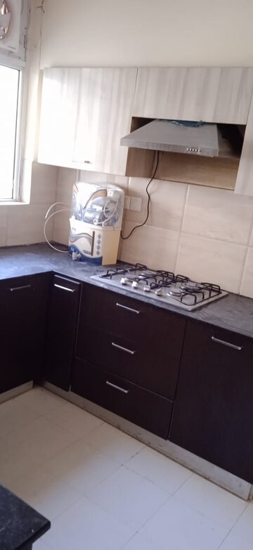 3 BHK Builder Floor For Rent in Unitech South City II, Sector 50