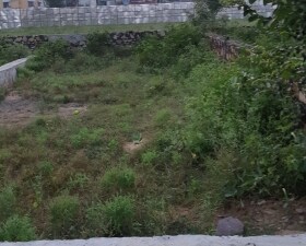 Plot For Sale in Mahal Road