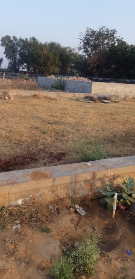 Plot For Sale in Open Plot 1041 tn