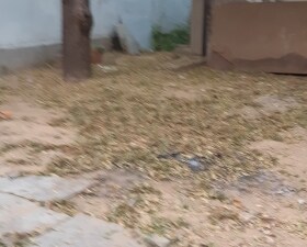 Plot For Sale in Mahal Road