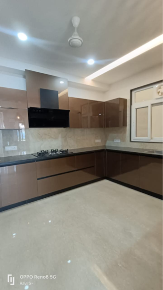 4 BHK Builder Floor For Rent in Ansal Plaza Gurgaon Carterpuri Gurgaon  8055736