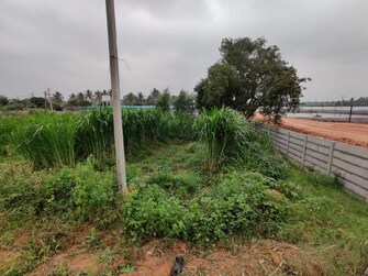 Commercial Land 11979 Sq.Ft. For Rent in Devanahalli Bangalore  8055904