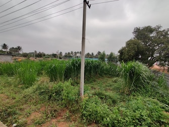 Commercial Land 11979 Sq.Ft. For Rent in Devanahalli Bangalore  8055904