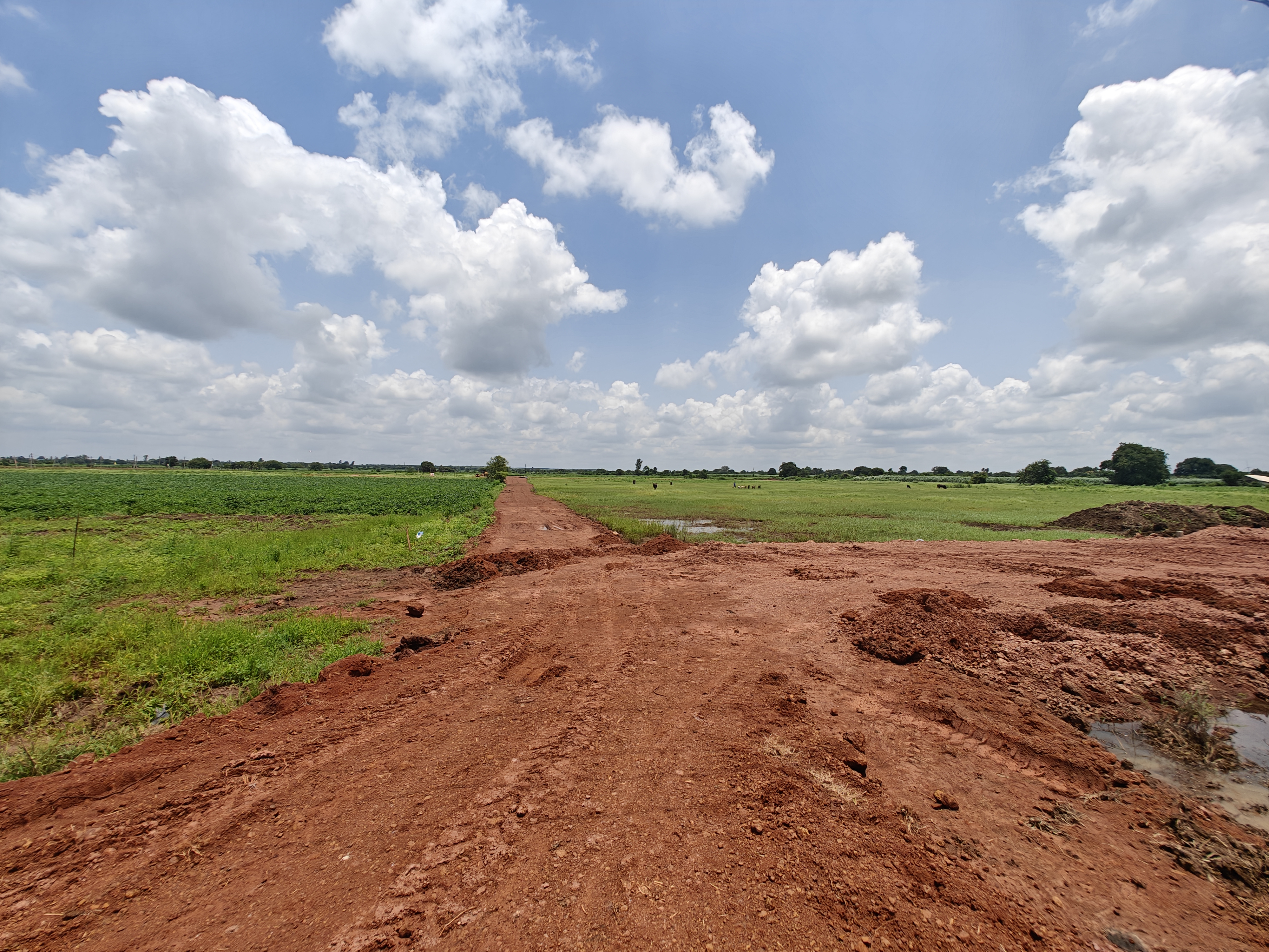 Plot For Sale in Myron Royal Crest