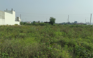 Plot For Sale in Sector 62