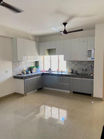 1 BHK Apartment For Rent in Lotus Homz Sector 111 Gurgaon  8056208