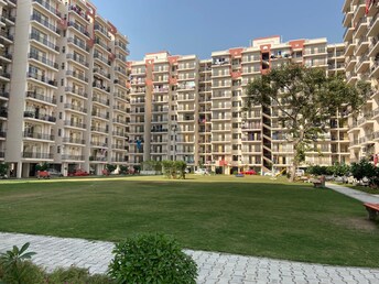 1 BHK Apartment For Rent in Lotus Homz Sector 111 Gurgaon  8056208