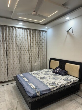 3 BHK Independent House For Rent in Sector 40 Chandigarh  8056205