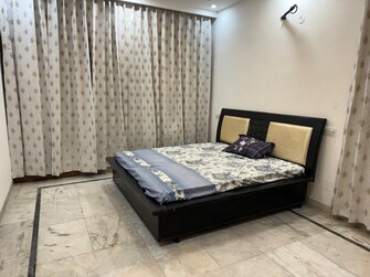 3 BHK Independent House For Rent in Sector 40 Chandigarh  8056205