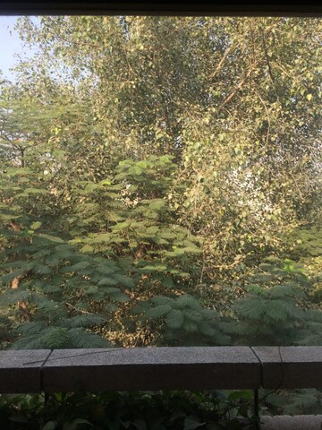 3 BHK Builder Floor – Garden View at East Of Kailash - for Sale