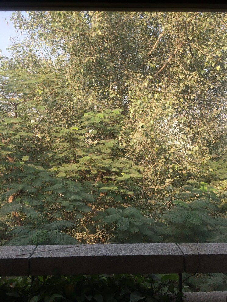 Garden, east of kailash 3 Bedroom 150 Sq.Yd. Builder Floor In East Of Kailash Delhi 8056260