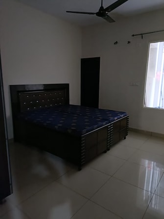 2 BHK Apartment For Rent in Sector 117 Mohali  8056273