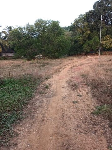 Plot Area in  Plot at Kodibag – for Sale