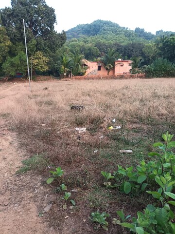 Plot Area in  Plot at Kodibag – for Sale