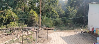 Plot For Resale in Malsi Dehradun  8056303