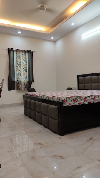 1 BHK Builder Floor For Rent in Ansal Sushant Lok I Sector 43 Gurgaon  8056427