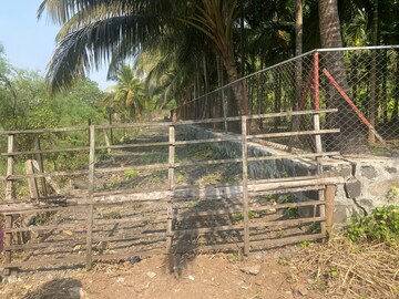 Plot Area in  Plot at Alibag – for Sale