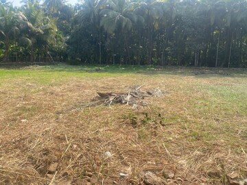  Plot For Sale in Alibag