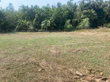 Plot Area in  Plot at Alibag – for Sale