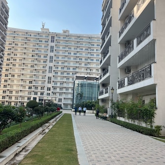 3 BHK Apartment For Rent in Central Park Flower Valley Aqua Front Towers Sohna Sector 33 Gurgaon  8056830