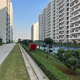 3 BHK Apartment For Rent in Central Park Flower Valley Aqua Front Towers Sohna Sector 33 Gurgaon  8056830