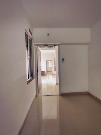 2 BHK Apartment For Rent in Benchmark Cyprus Punawale Pune  8057197