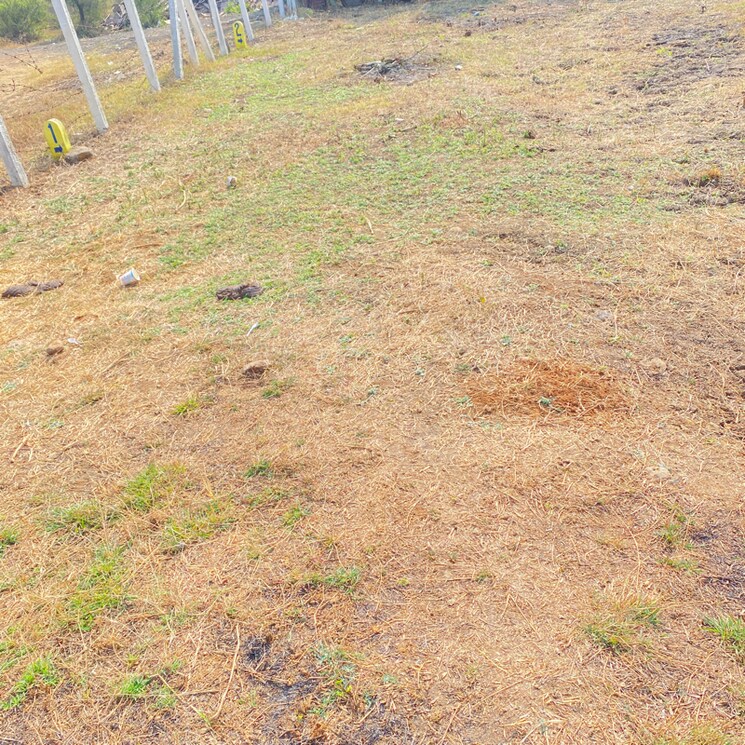 undefined, hudkeshwar bk  1500 Sq.Yd. Plot In Hudkeshwar bk Nagpur 8057319