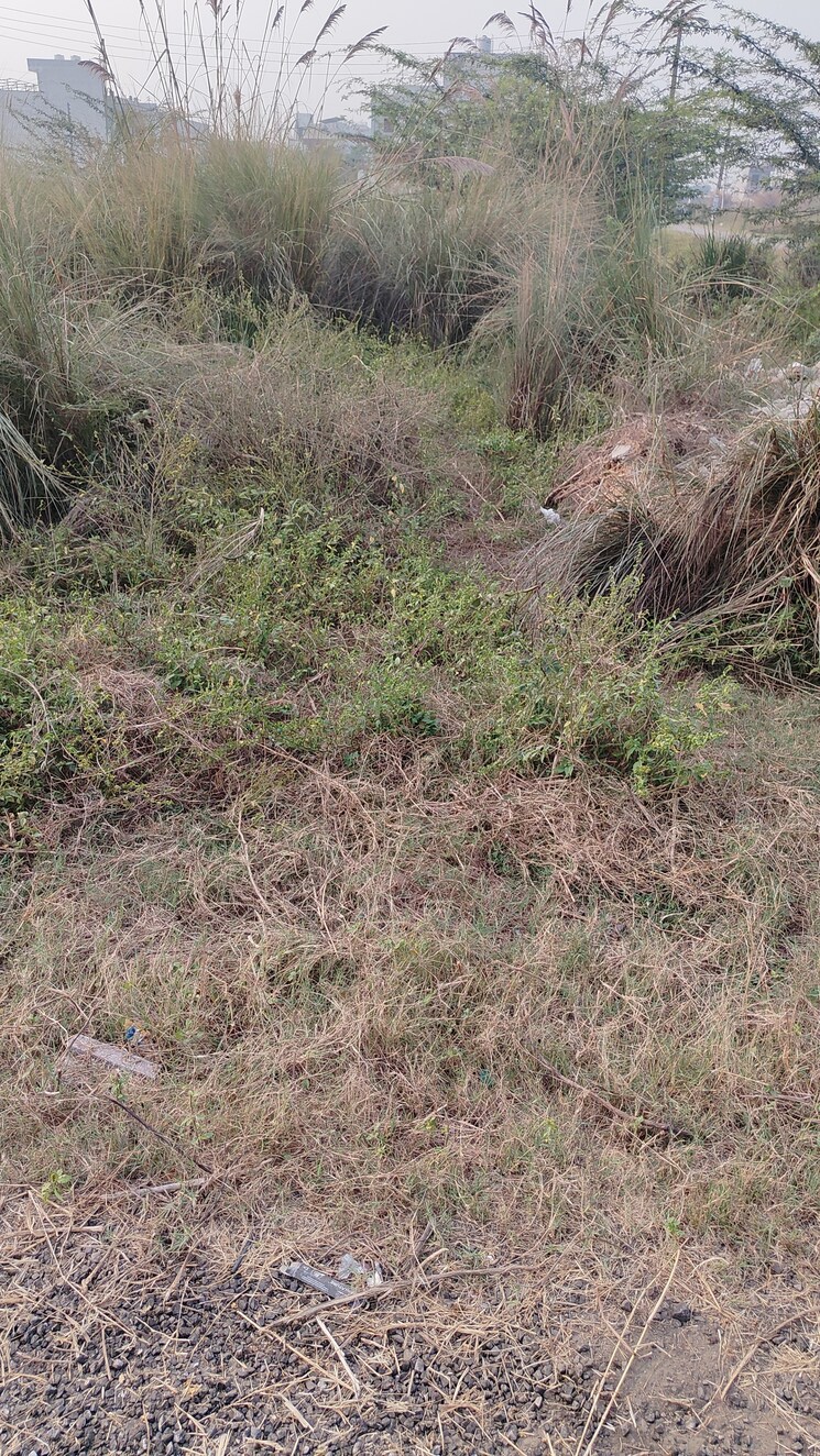 undefined, sector 02  276 Sq.Yd. Plot In Sector 02 Bahadurgarh 8057340