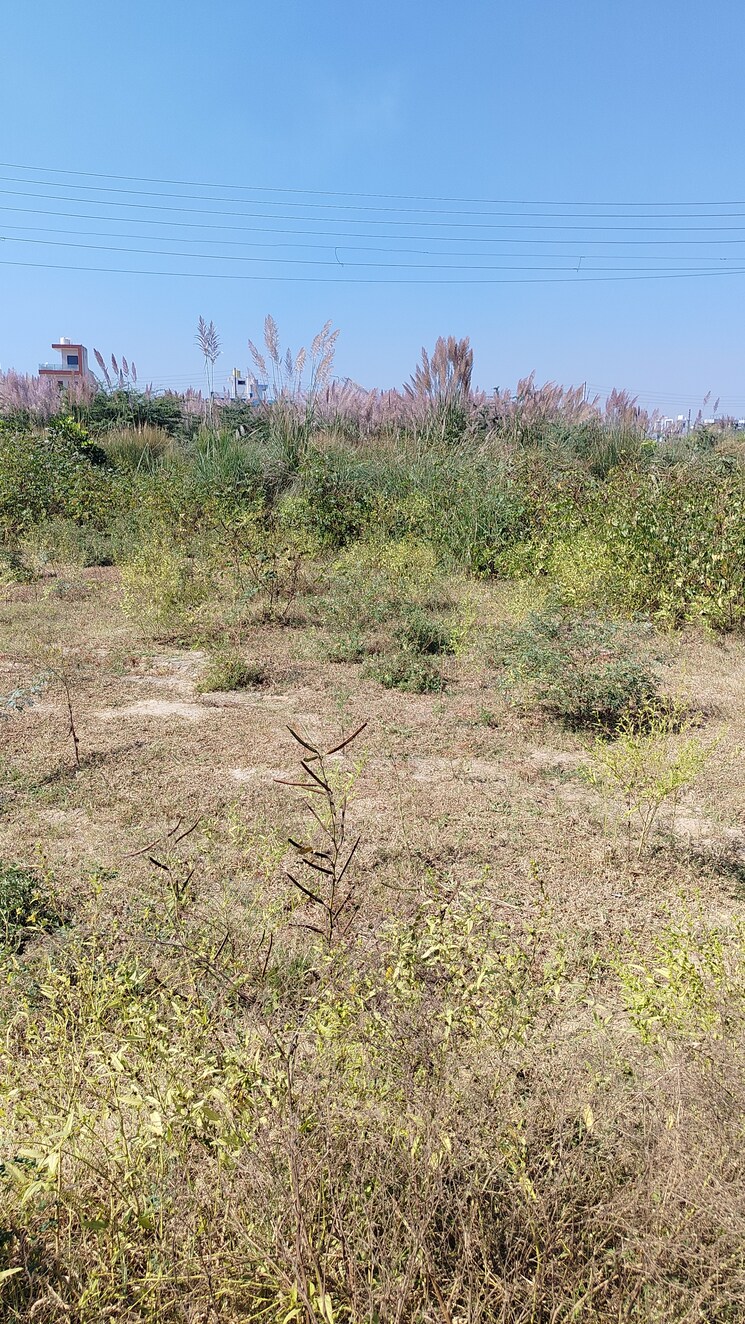 undefined, sector 02  276 Sq.Yd. Plot In Sector 02 Bahadurgarh 8057340