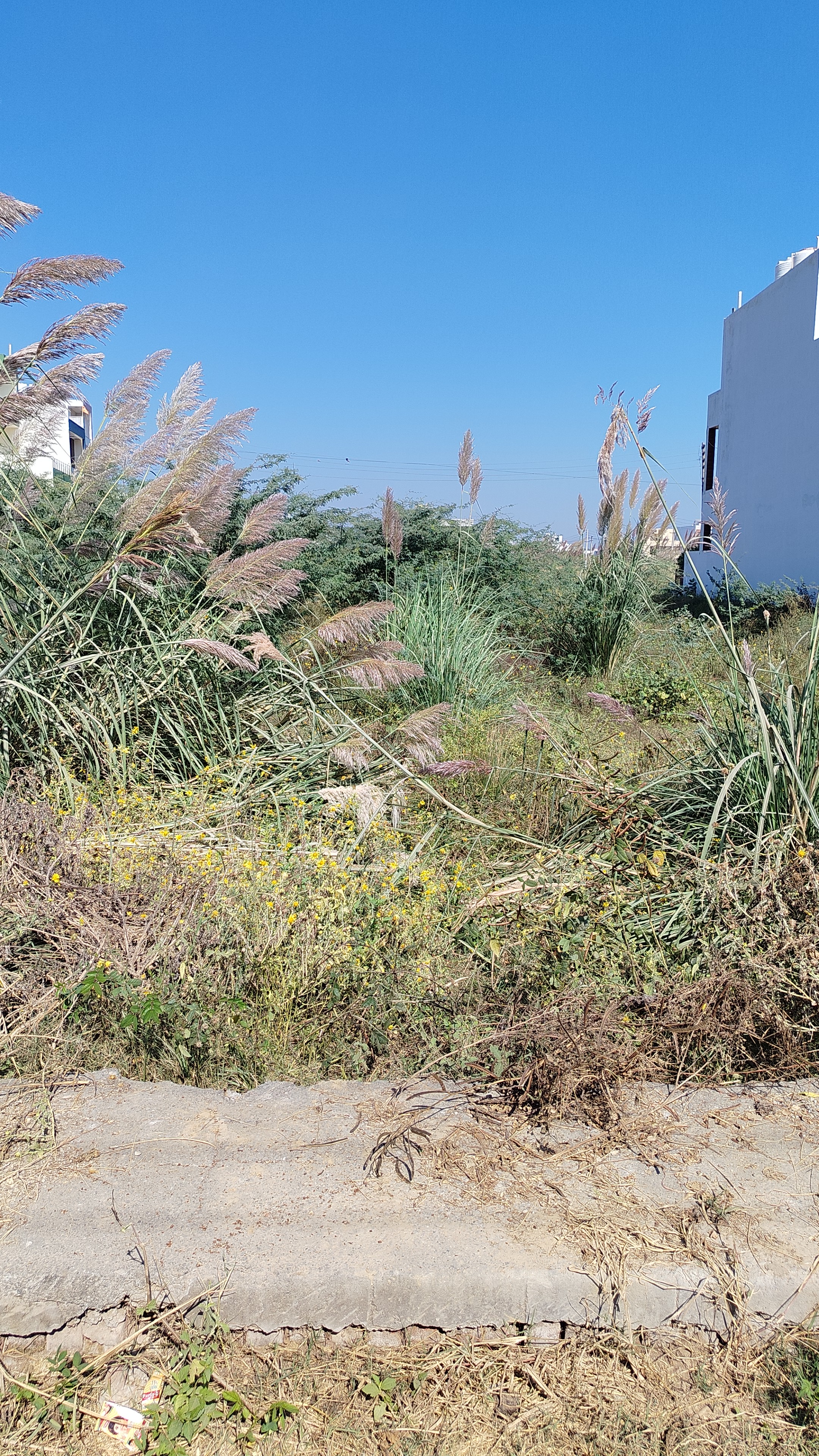 Plot For Sale in Sector 2