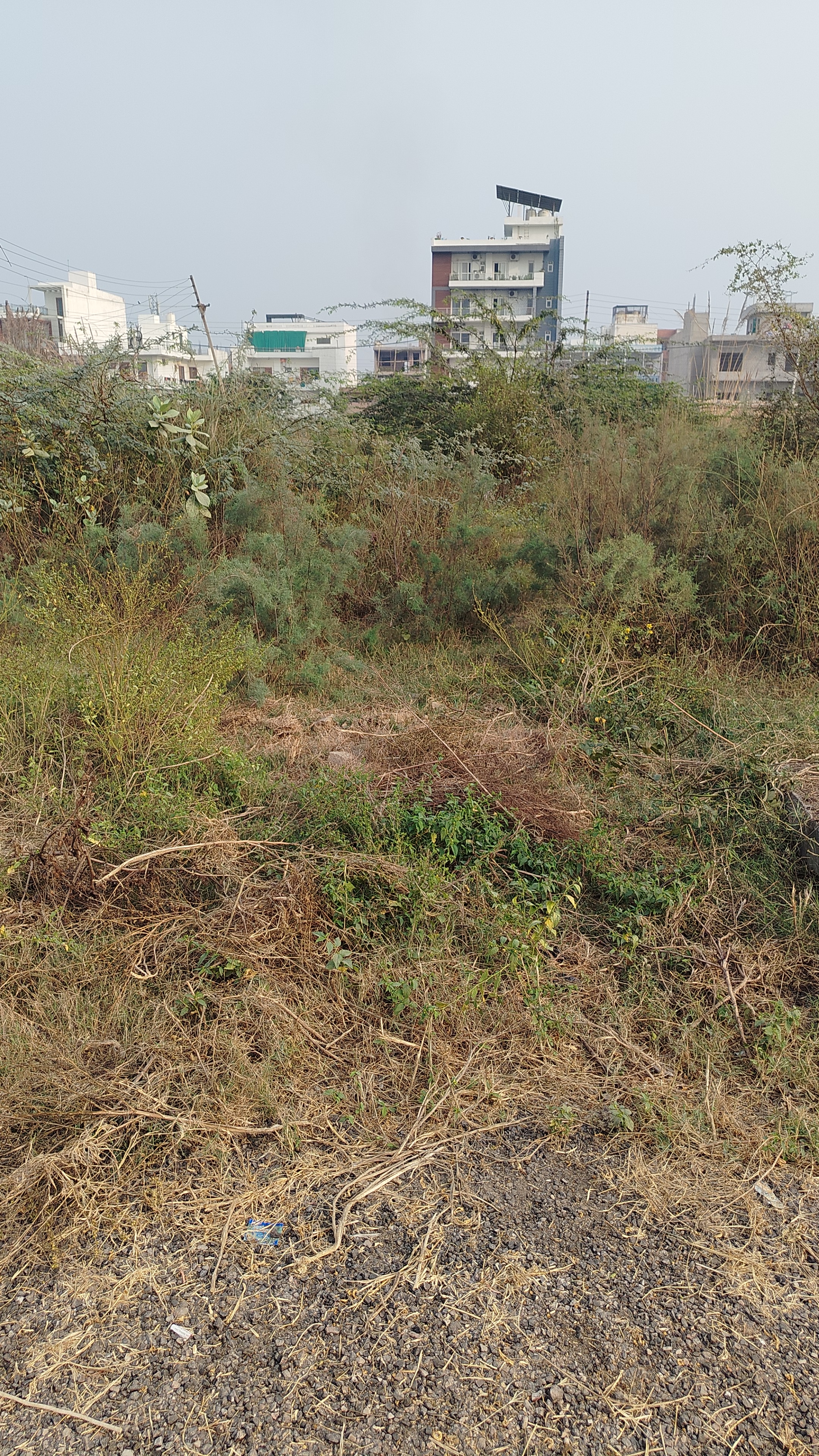 Plot For Sale in Sector 2