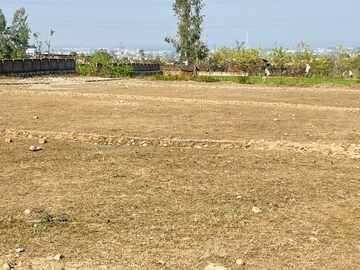 Plot Area in  Plot at Badowala – for Sale