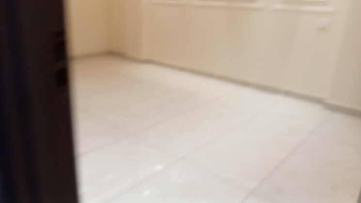 Room, sadh nagar 3 Bedroom 900 Sq.Ft. Builder Floor In Sadh Nagar Delhi 8057621