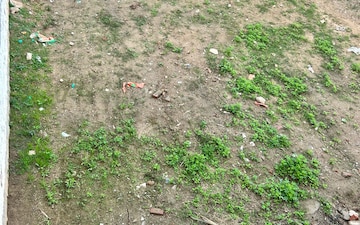 Plot For Sale in Kurali