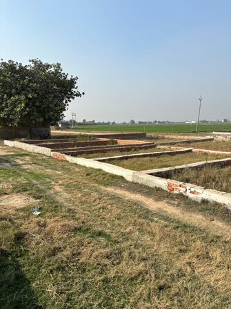 Plot For Resale in Bhopani Village Faridabad  8057767