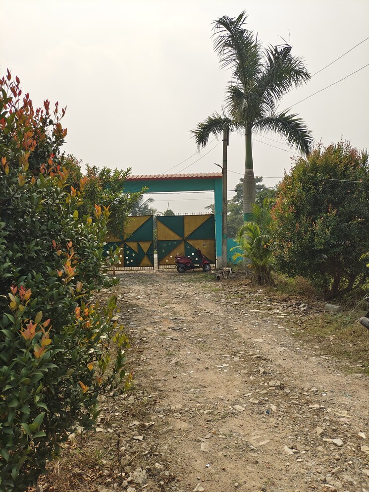 Exterior View, joka  2160 Sq.Ft. Plot In Joka Kolkata 8057799