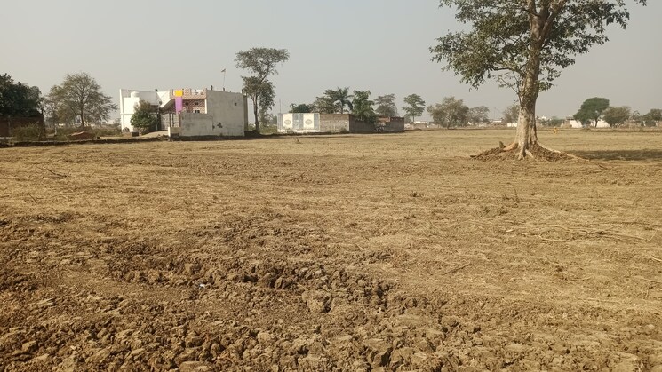 undefined, kandul  885 Sq.Ft. Plot In Kandul Raipur 8057838