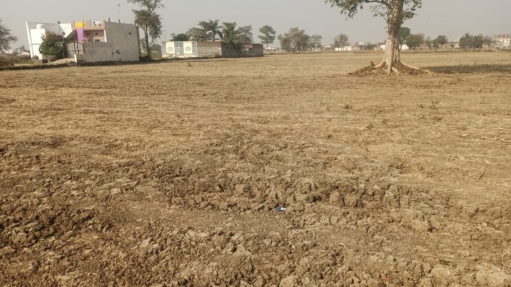 undefined, kandul  885 Sq.Ft. Plot In Kandul Raipur 8057838
