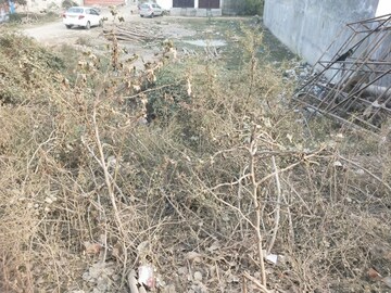 Plot Area in  Land at Takrohi – for Sale