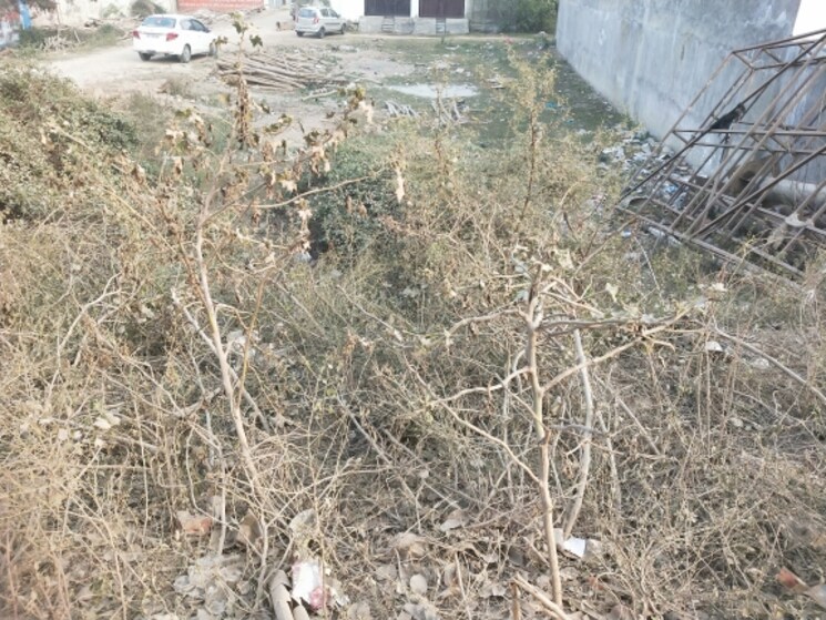 undefined, takrohi Commercial Land 4500 Sq.Ft. In Takrohi Lucknow 8058330