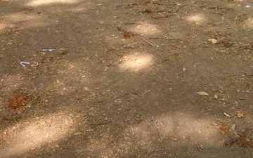 Plot For Sale in Shambhu Nagar