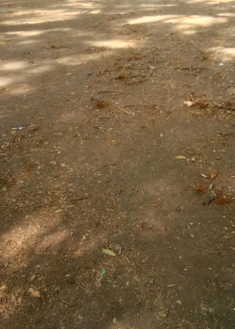 Plot For Sale in Kashvi Group Of Companies