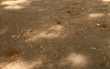 Plot For Sale in Shambhu Nagar