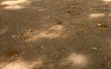 Plot For Sale in Om Nagar